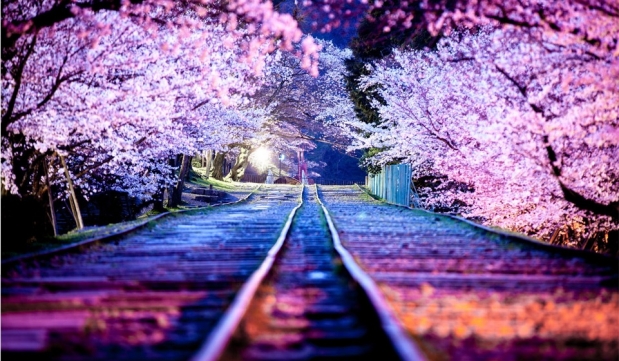 ¿Qué camino debo seguir para recibir el Espíritu Santo?