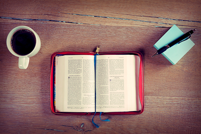 Lea la Biblia en 1 año – 74° día