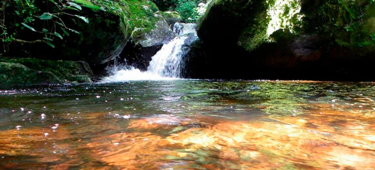 La Fuente de Agua Viva