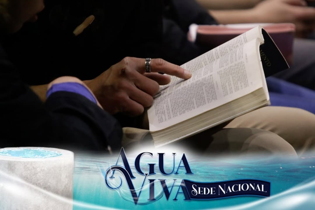 agua-viva-iurd18
