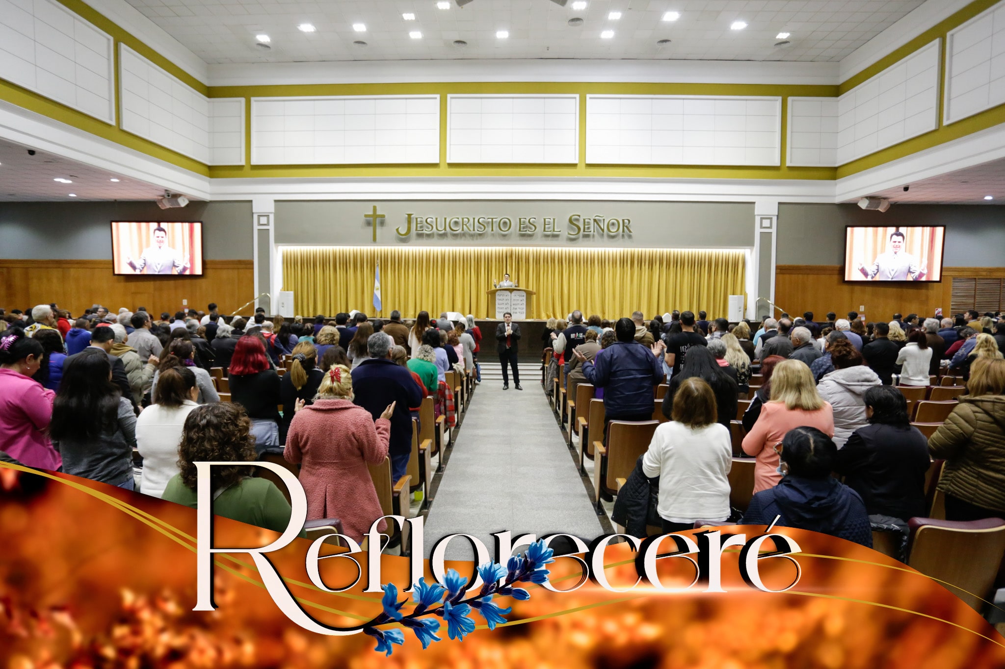 reflorecer-iurd9