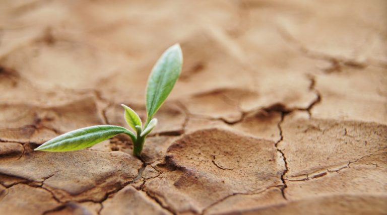 Honrá al Padre Celestial
