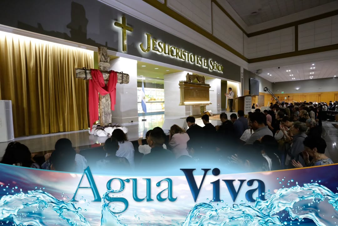 agua-viva-iurd15