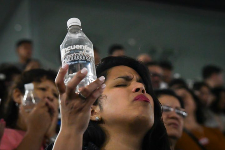 photo_19_2026-03-29_14-46-49