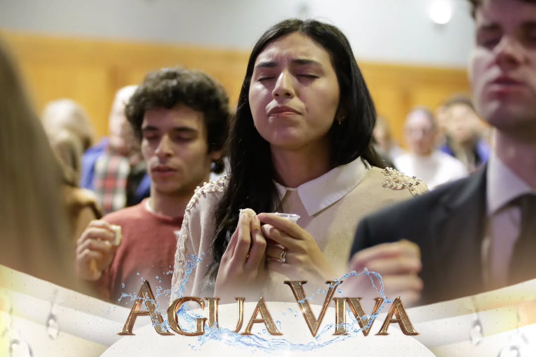 dom-agua-viva-iurd15
