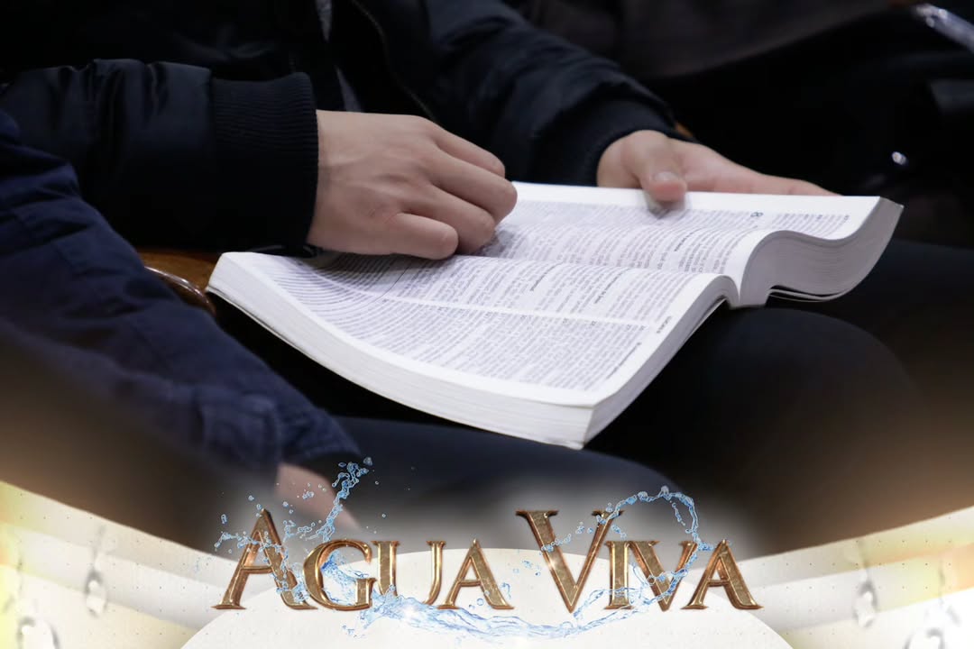 dom-agua-viva-iurd8