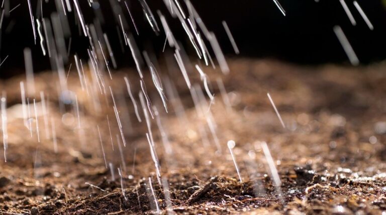 5.º Día: Prepararse para la lluvia temprana