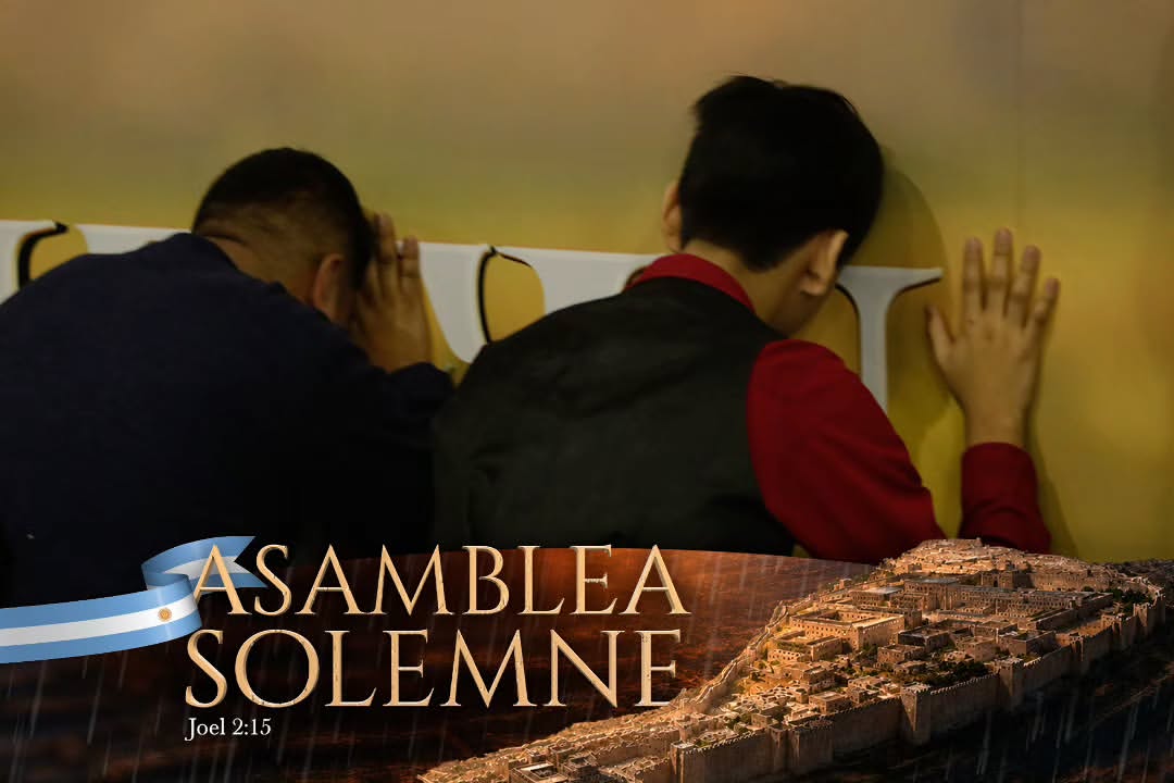 asamblea-solemnte-iurd13