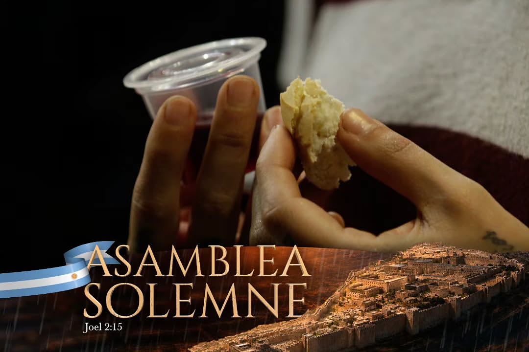 asamblea-solemnte-iurd15
