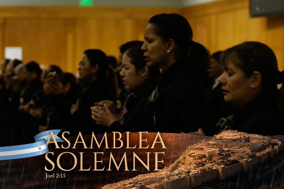 asamblea-solemnte-iurd17